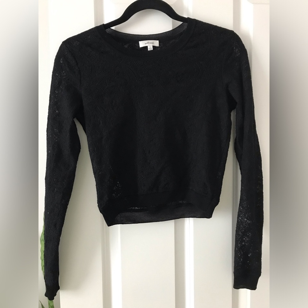 Aritzia Wilfred French Lace Crop Long Sleeve Top